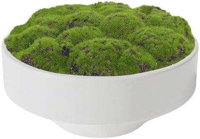 NAHARO 11 Inch Artificial Moss Bowl for Home Decoration