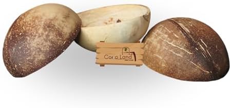 Coco Land White Coconut Shell Matte Polished Oval Bowl Set of 3