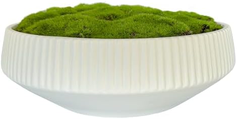 Moss Bowl 12 Inch Artificial Lightweight Ceramic Decor