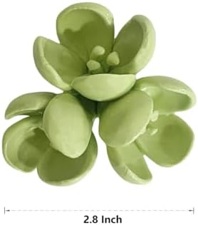 Sedum Spurium Dragons Blood Ceramic Wall Art