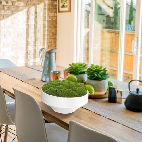 NAHARO 11 Inch Artificial Moss Bowl for Home Decoration
