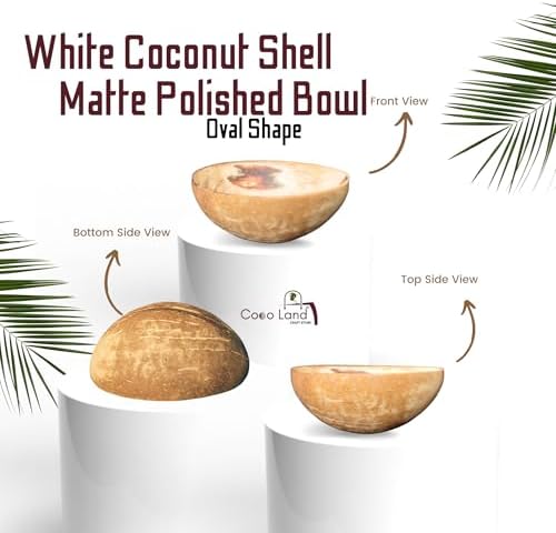 Coco Land White Coconut Shell Matte Polished Oval Bowl Set of 3