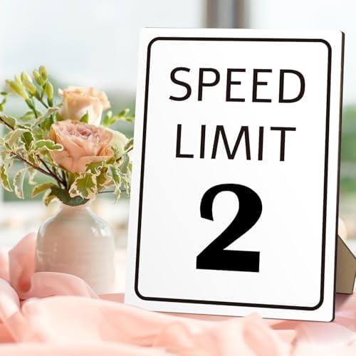 Race Car Birthday Sign with Stand Speed Limit 2 Sign