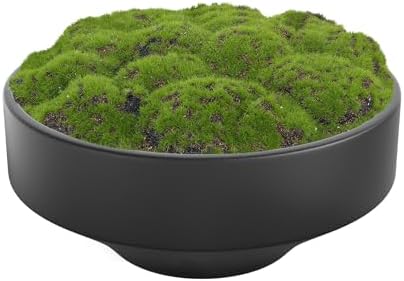 NAHARO New Moss Bowl 11 Inch Handmade Ceramic