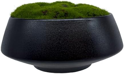 Moss Bowl 8 Inch Artificial Lightweight Ceramic Decor