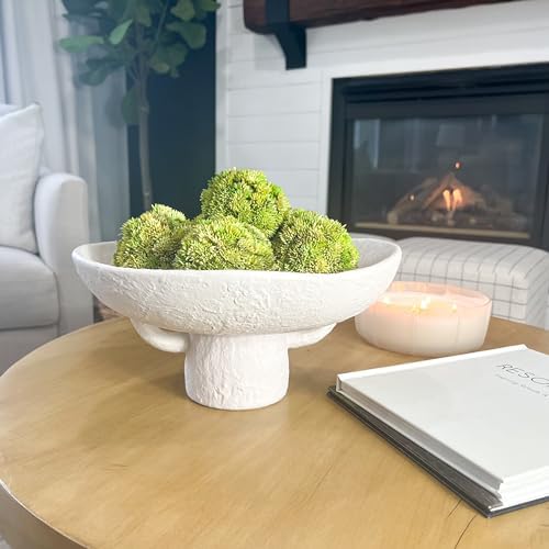 Luxurious White Textured Ceramic Bowl with Green Succulent Set