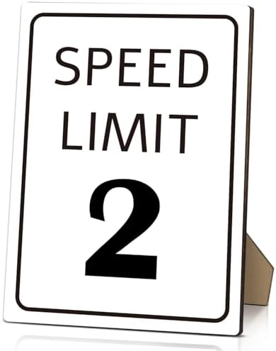 Race Car Birthday Sign with Stand Speed Limit 2 Sign