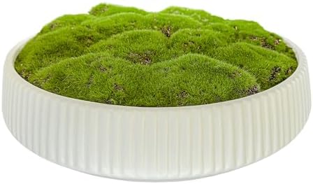 Moss Bowl 12 Inch Artificial Lightweight Ceramic Decor