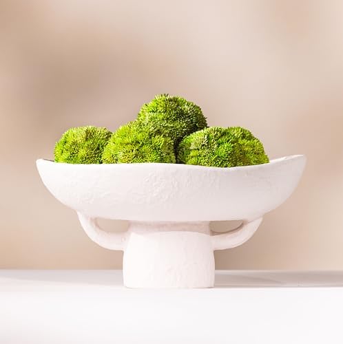 Luxurious White Textured Ceramic Bowl with Green Succulent Set