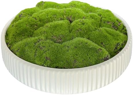 Moss Bowl 12 Inch Artificial Lightweight Ceramic Decor