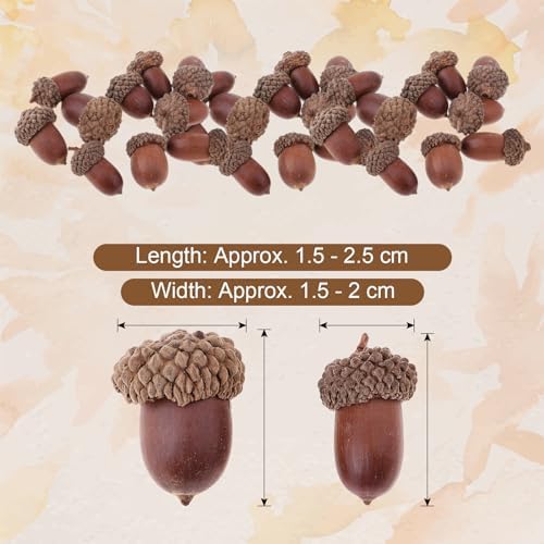 Milageto 20 Pcs Natural Dried Acorns Christmas Decor