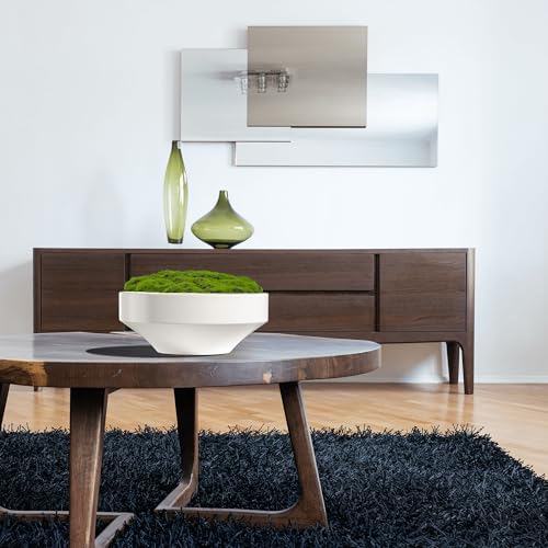 NAHARO 11 Inch Artificial Moss Bowl for Home Decoration