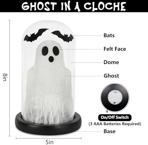 DAZONGE Halloween Decorations Indoor Glass Dome Cloche