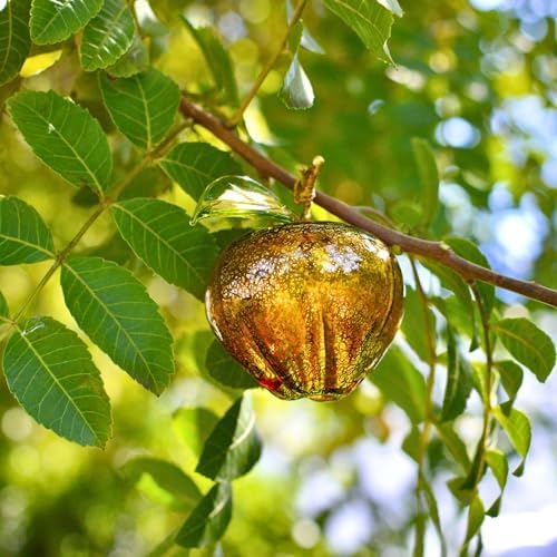 Murano Glass Hand Blown Amber Apple Figurine 3 Inch Tall