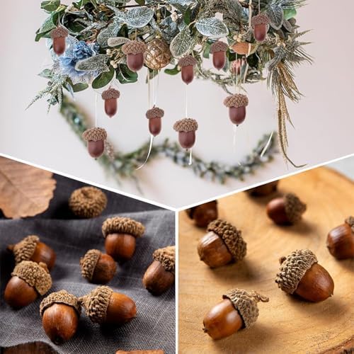 Milageto 20 Pcs Natural Dried Acorns Christmas Decor