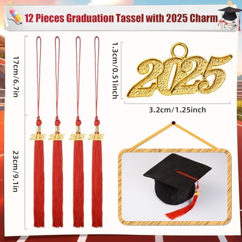 12 Piece Graduation Tassel with 2025 Gold Charm