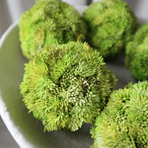Luxurious White Textured Ceramic Bowl with Green Succulent Set