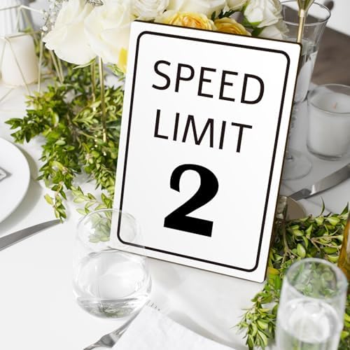 Race Car Birthday Sign with Stand Speed Limit 2 Sign