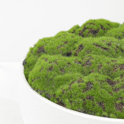 NAHARO 11 Inch Artificial Moss Bowl for Home Decoration
