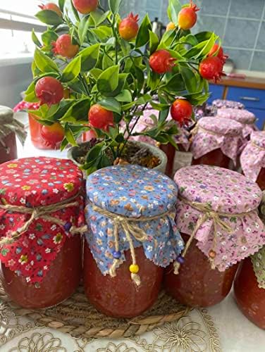 50 Pieces 100 Cotton Flowered Jar Cover Cloth With Beaded Jute Rope
