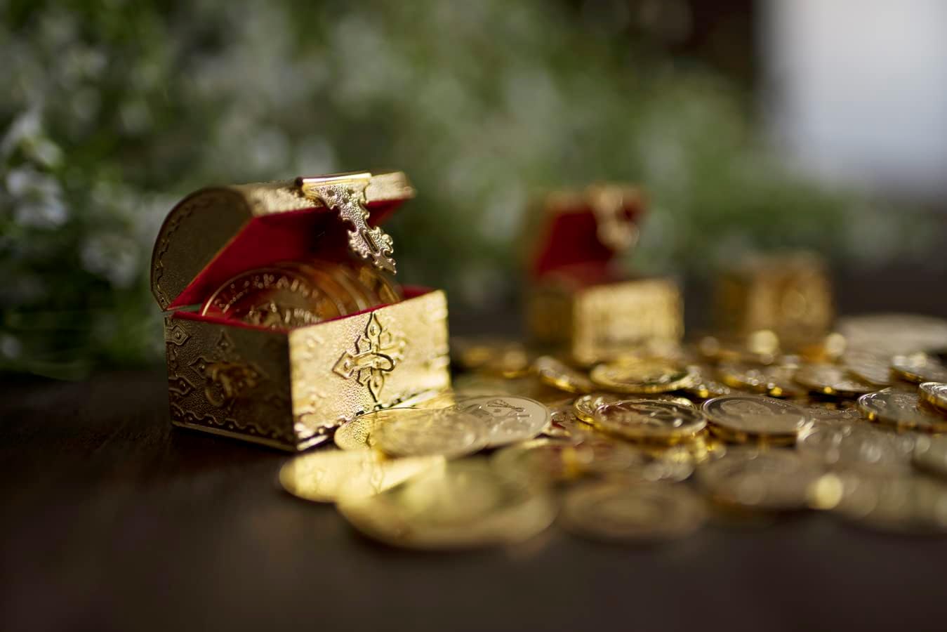 EHV 24K Gold Plated Wedding Unity Coins with Display Case