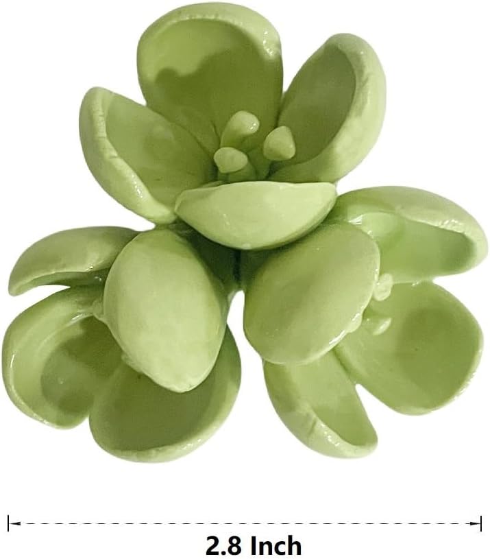 Sedum Spurium Dragons Blood Ceramic Wall Art