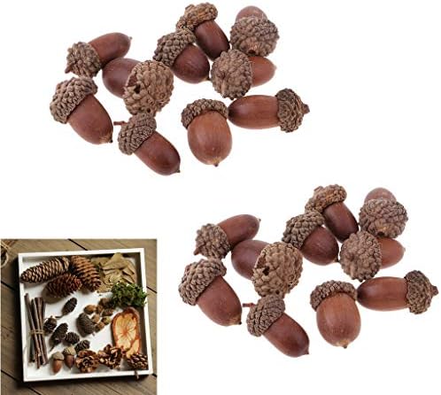 Milageto 20 Pcs Natural Dried Acorns Christmas Decor