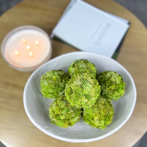 Luxurious White Textured Ceramic Bowl with Green Succulent Set