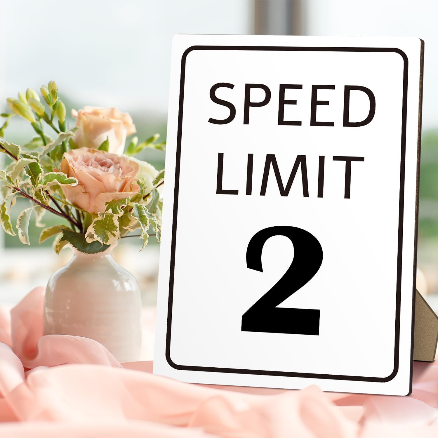 Race Car Birthday Sign with Stand Speed Limit 2 Sign