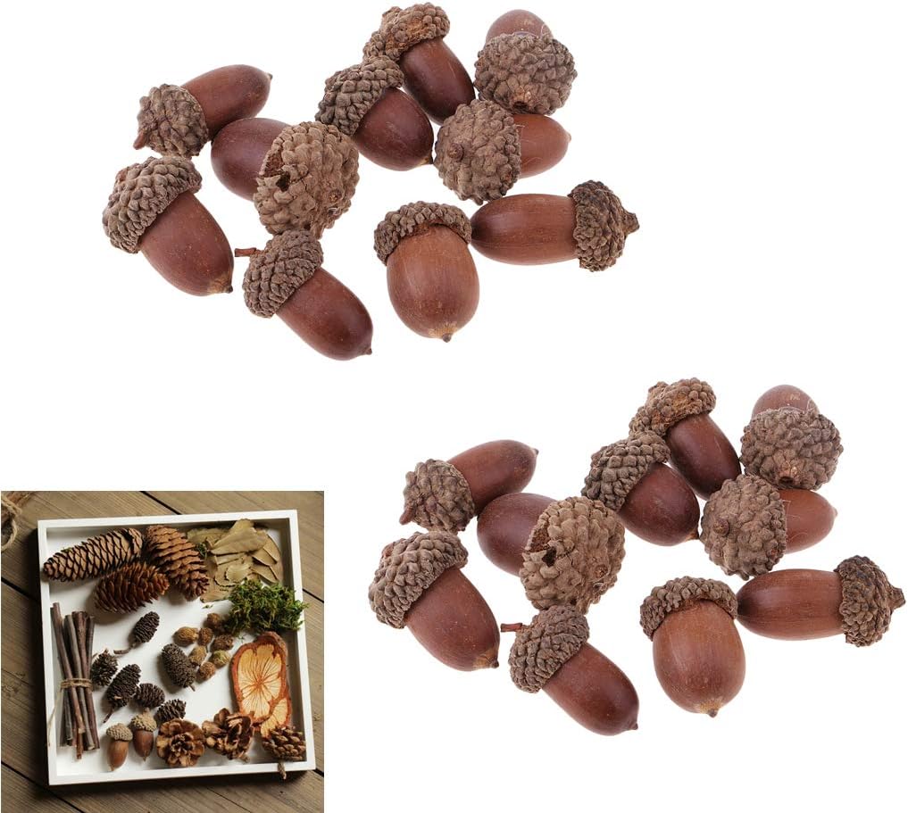 Milageto 20 Pcs Natural Dried Acorns Christmas Decor