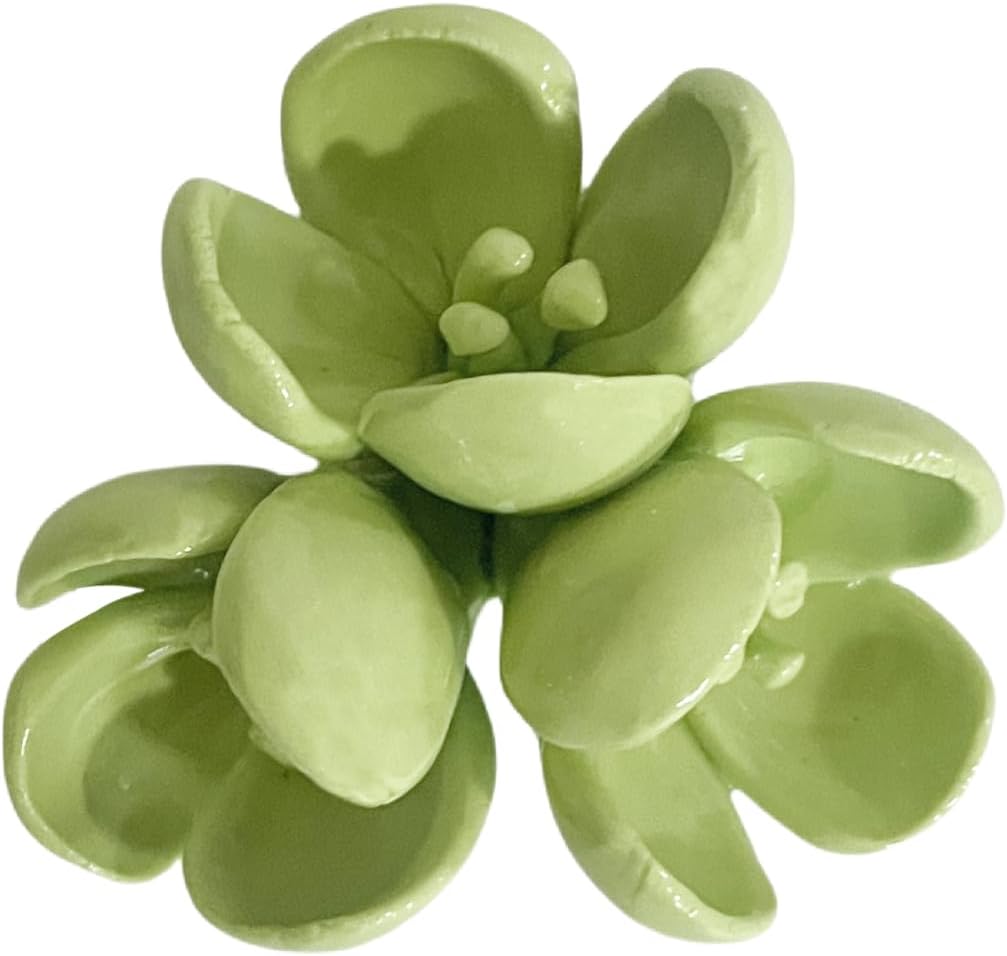 Sedum Spurium Dragons Blood Ceramic Wall Art