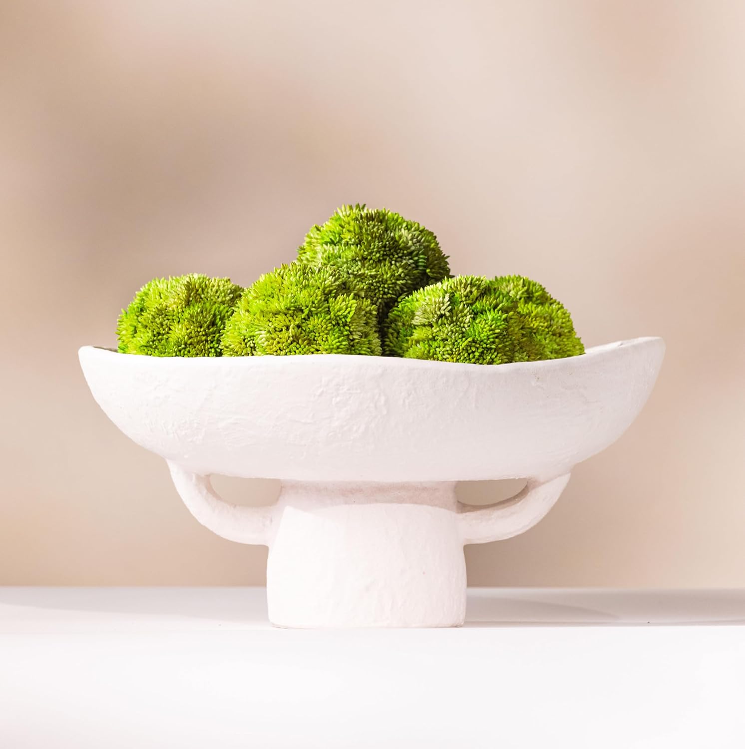 Luxurious White Textured Ceramic Bowl with Green Succulent Set