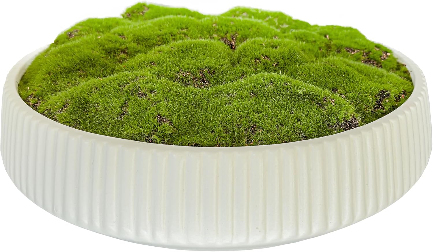 Moss Bowl 12 Inch Artificial Lightweight Ceramic Decor