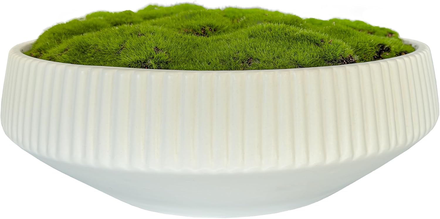 Moss Bowl 12 Inch Artificial Lightweight Ceramic Decor