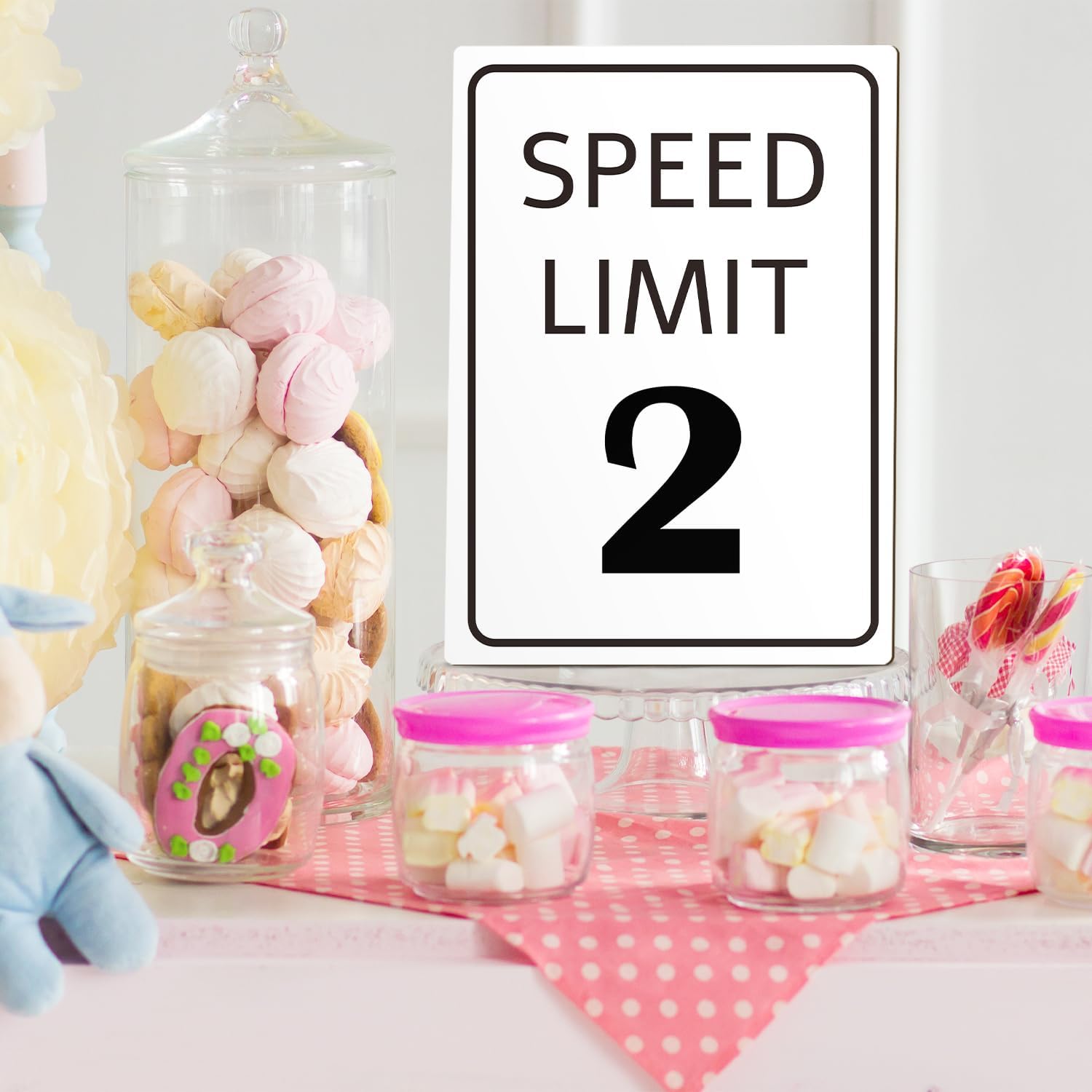 Race Car Birthday Sign with Stand Speed Limit 2 Sign