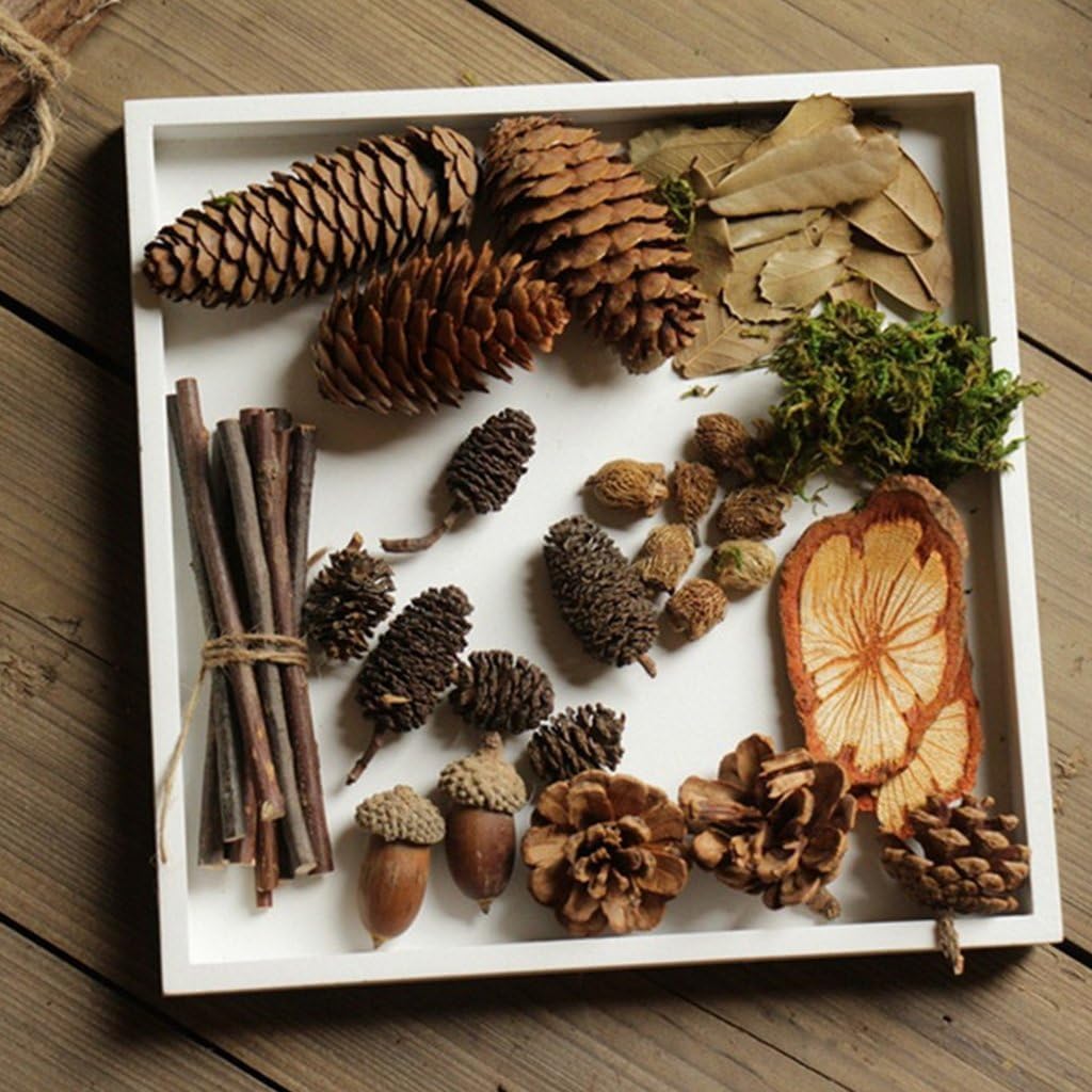 Milageto 20 Pcs Natural Dried Acorns Christmas Decor