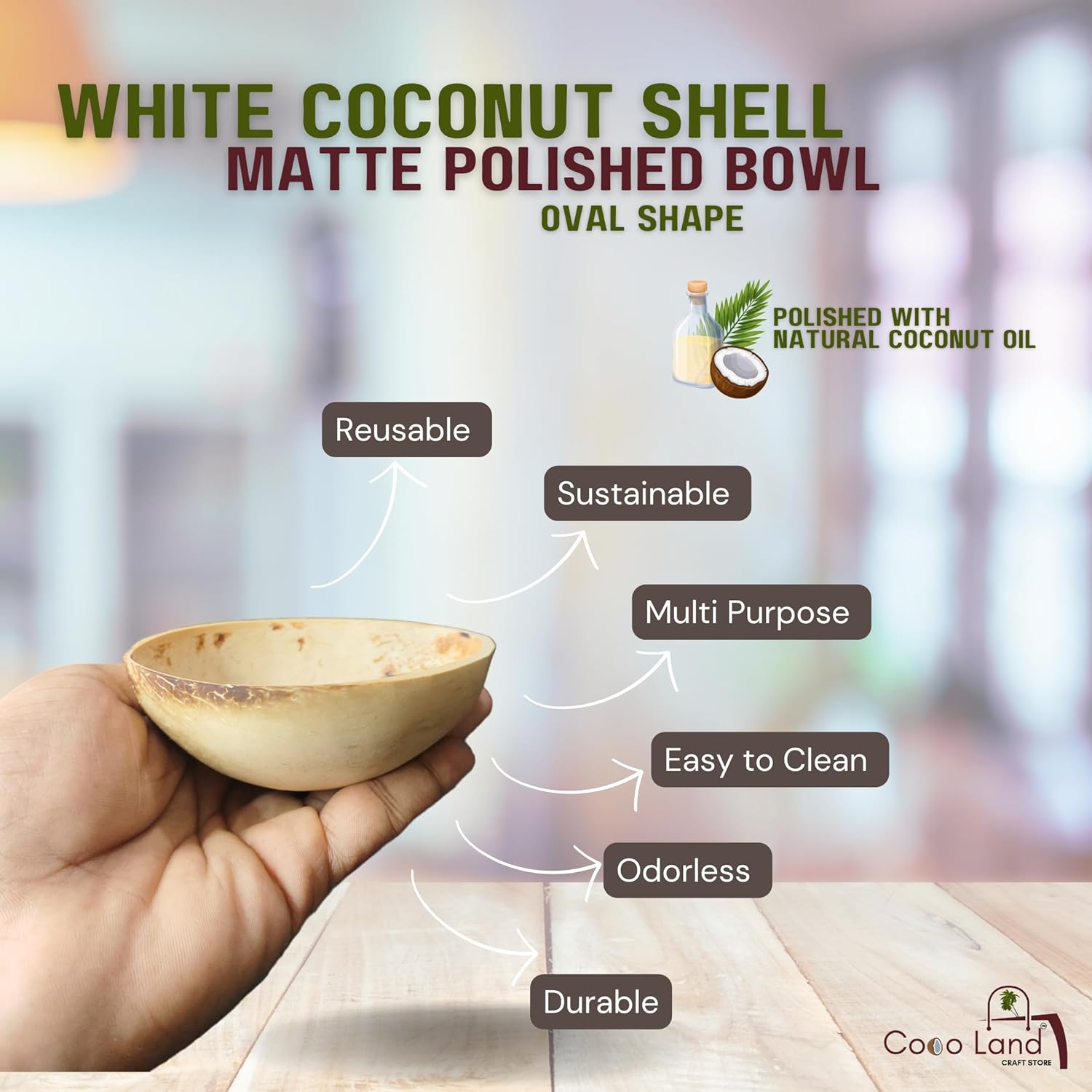 Coco Land White Coconut Shell Matte Polished Oval Bowl Set of 3