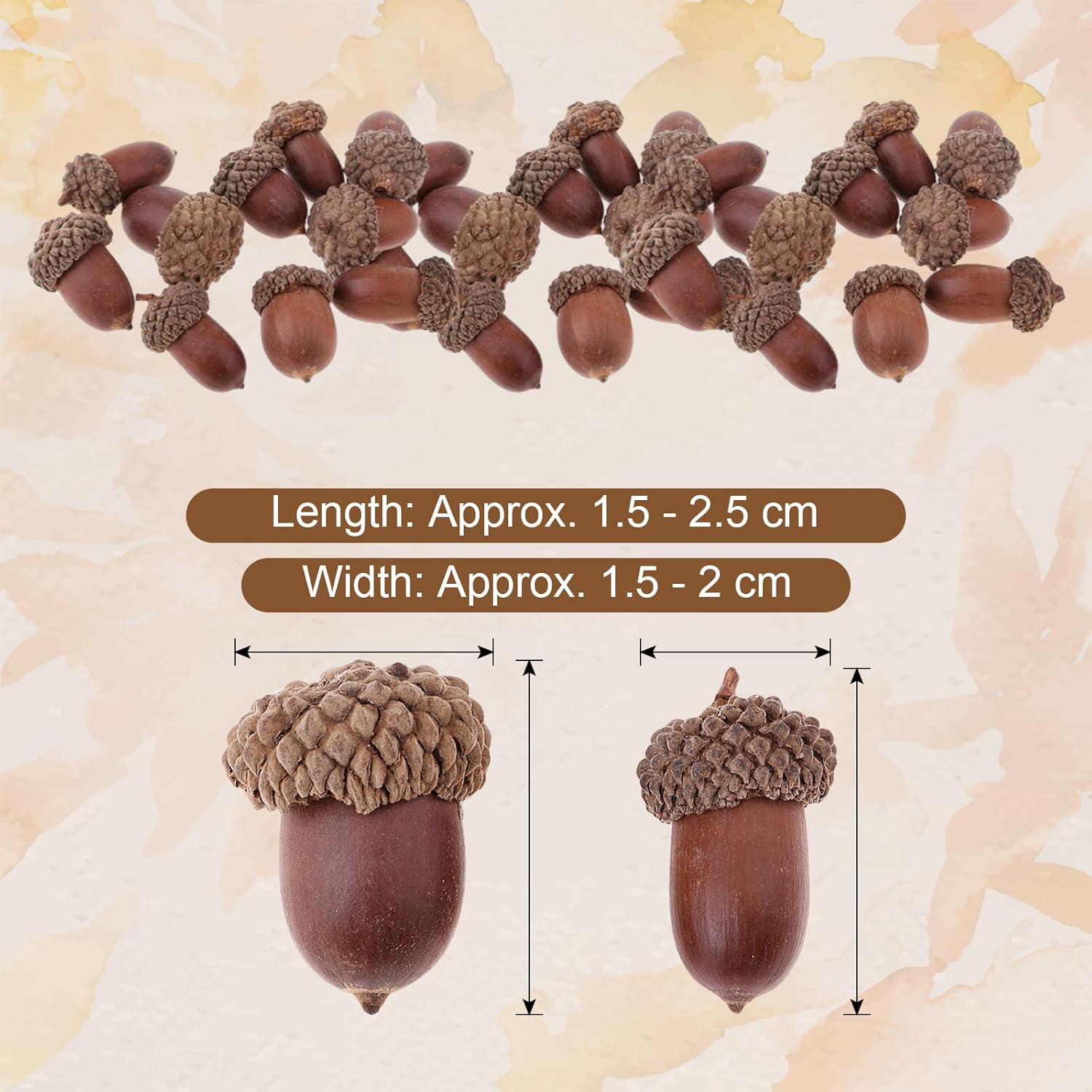 Milageto 20 Pcs Natural Dried Acorns Christmas Decor