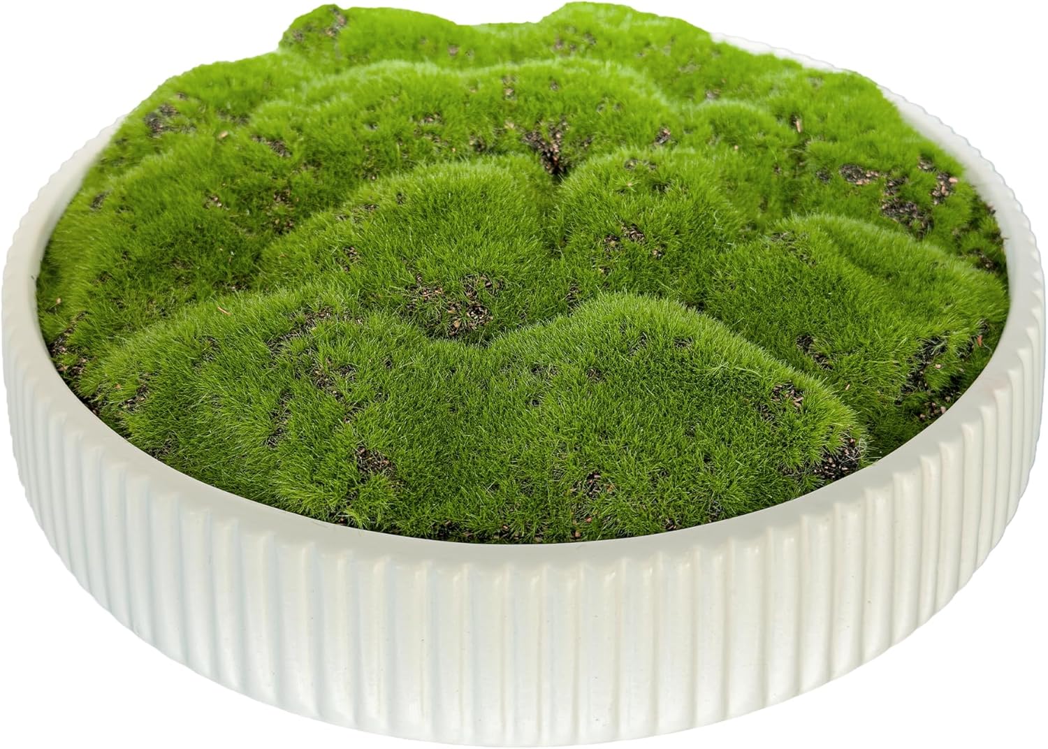 Moss Bowl 12 Inch Artificial Lightweight Ceramic Decor