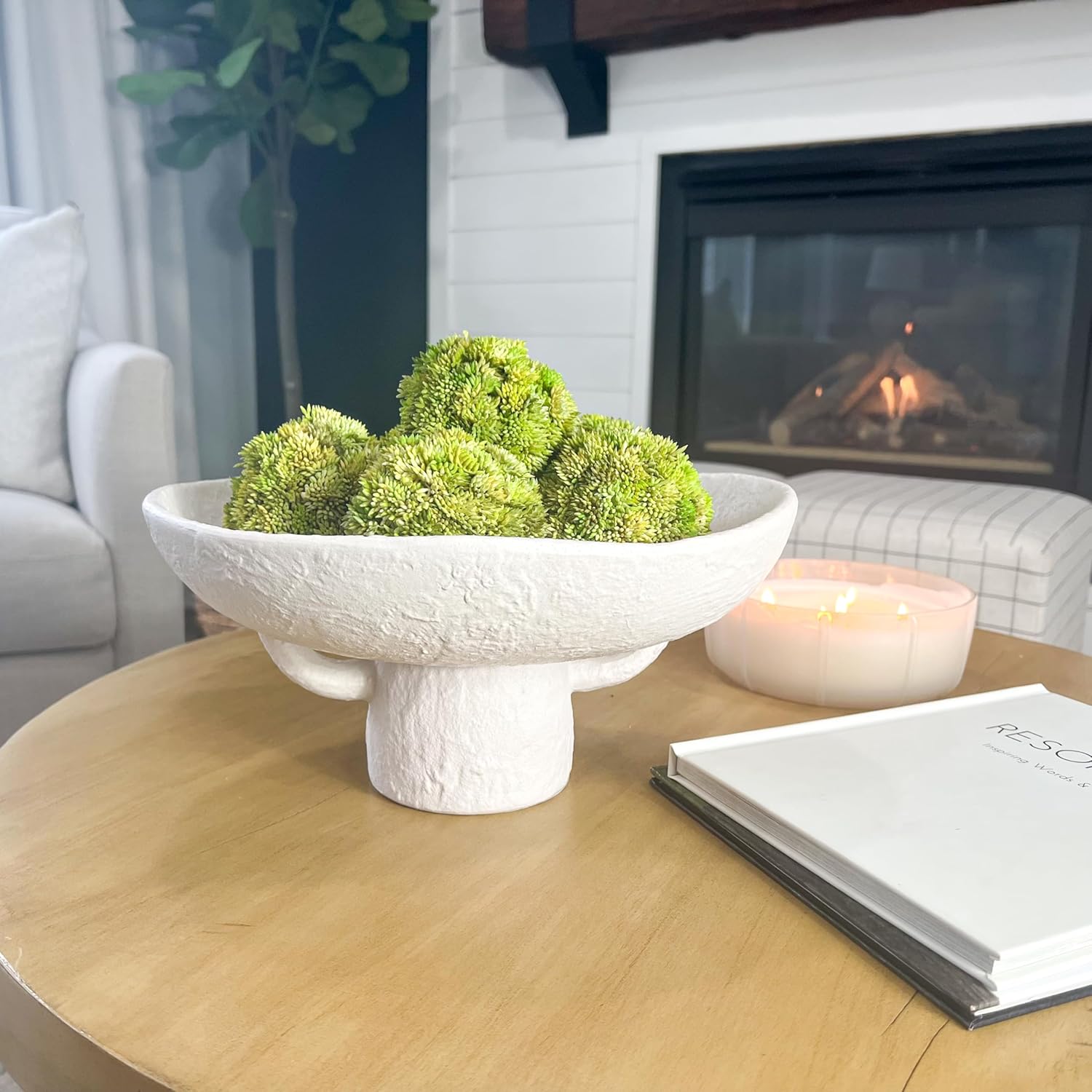 Luxurious White Textured Ceramic Bowl with Green Succulent Set