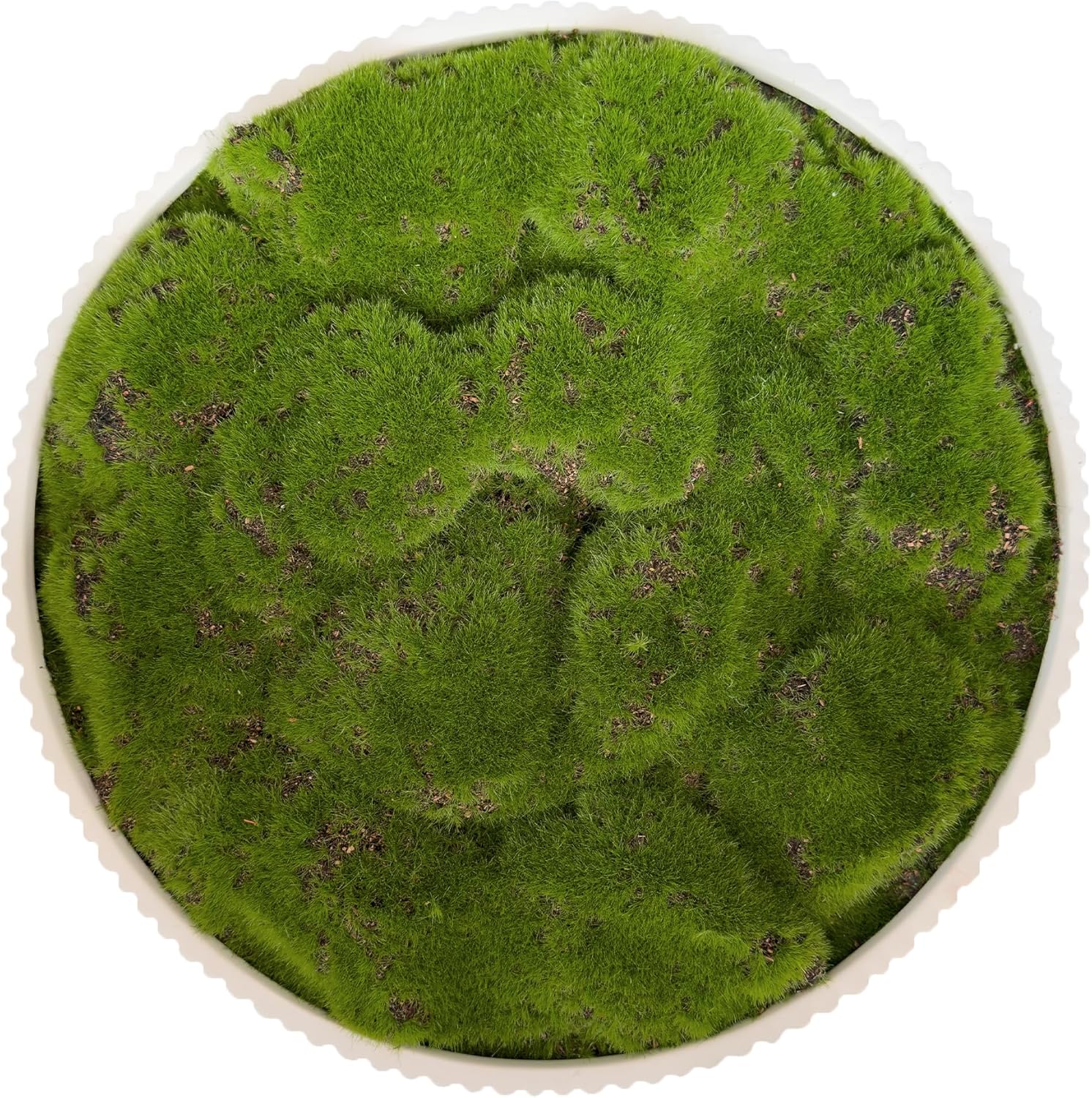 Moss Bowl 12 Inch Artificial Lightweight Ceramic Decor
