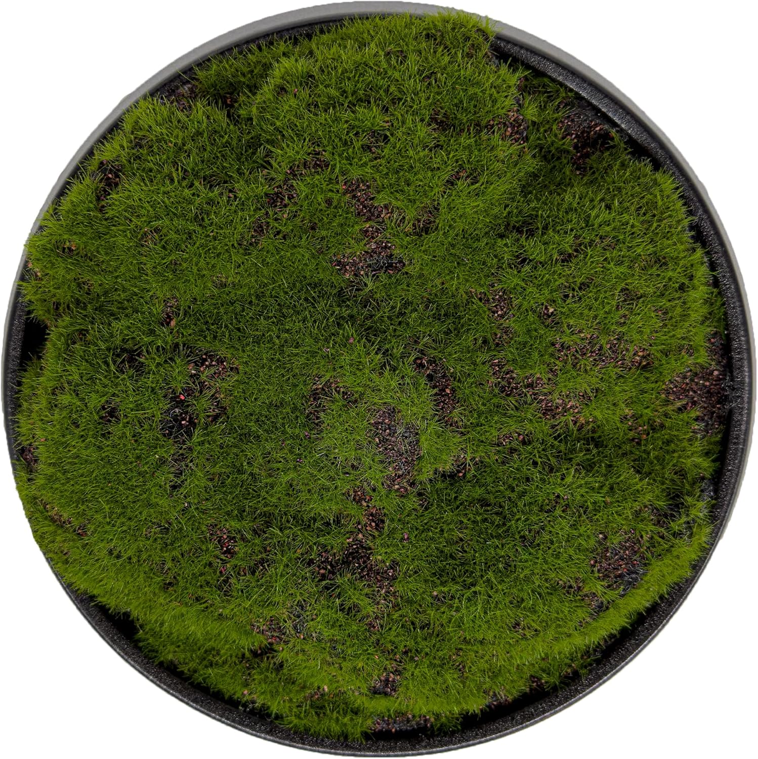 Moss Bowl 8 Inch Artificial Lightweight Ceramic Decor